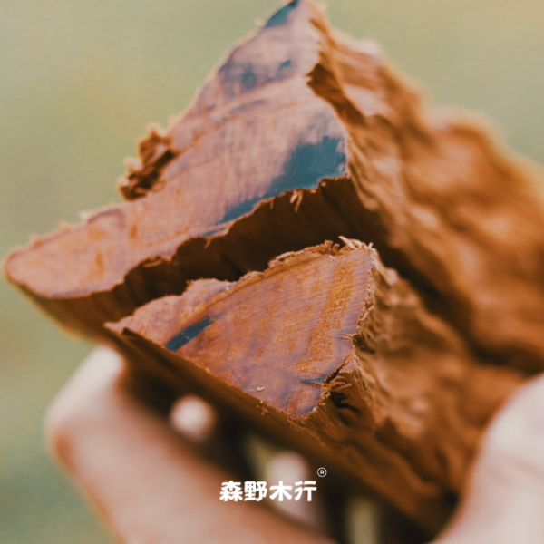 森野木行®精裝龍眼木
