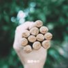 森野木行®竹炭艾草薰香棒